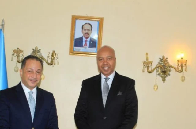 Egypt appears to be like for conciliatory traction in Somalia