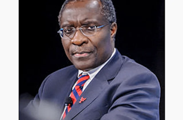 Elections in Ghana: Christopher Fomunyoh (NDI) praises “a really nicely thought out electoral system”