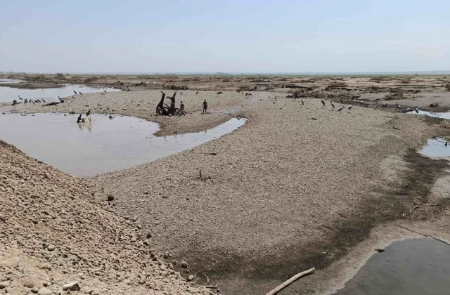 Ethiopia: northern a part of the nation uncovered to local weather change