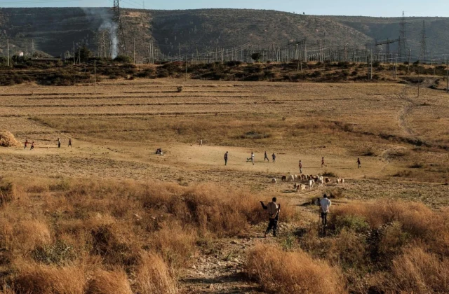 Ethiopian troops kill 42 people ‘involved in deadly attacks’