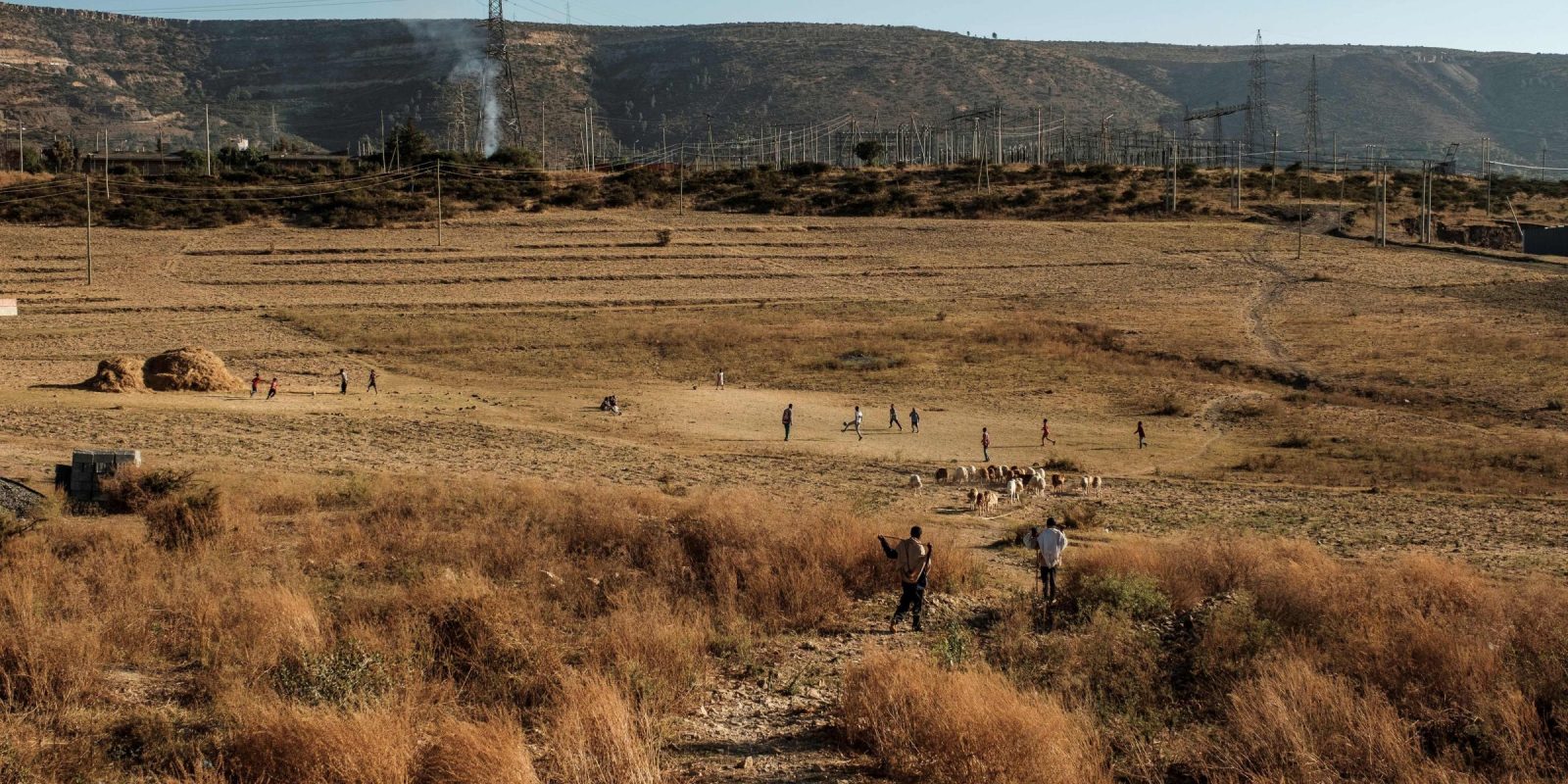 Ethiopian troops kill 42 people ‘involved in deadly attacks’