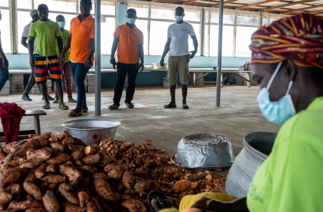 Ghana: desires of industrializing the agricultural sector