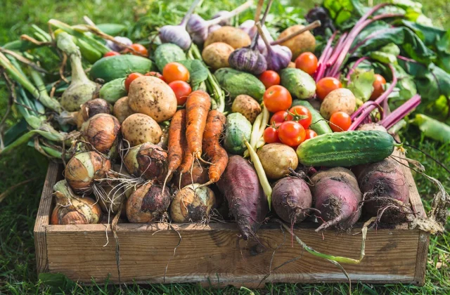 That is Why It’s So Dangerous To Not Wash Your Produce, Analysis Displays