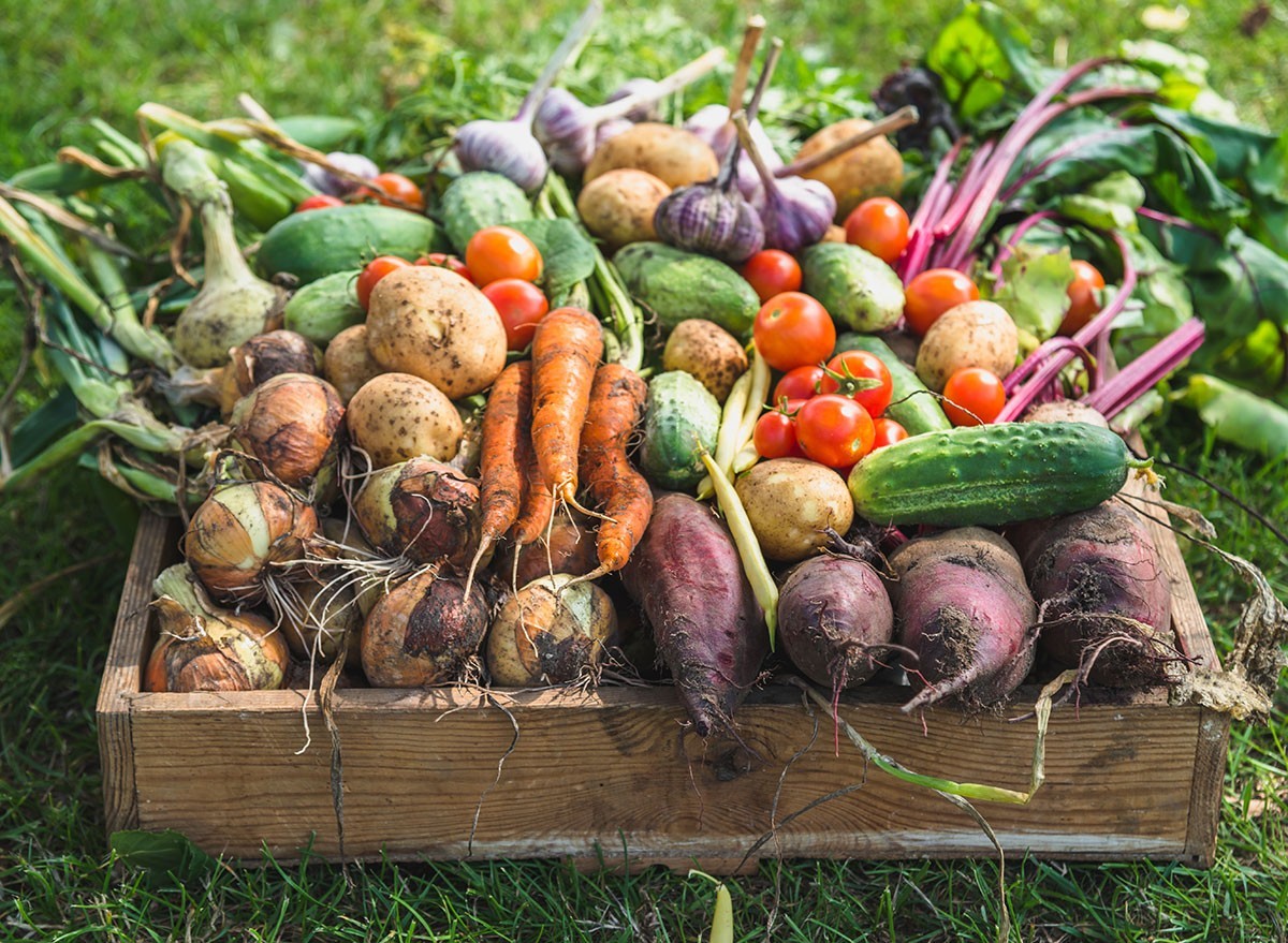 That is Why It’s So Dangerous To Not Wash Your Produce, Analysis Displays