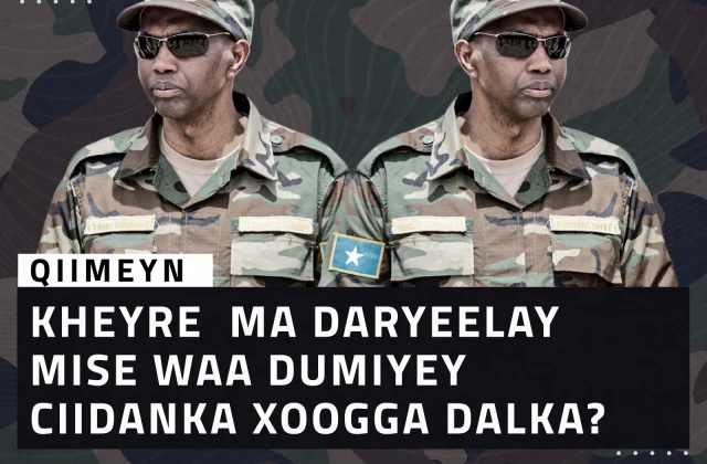 Qiimeyn: Kheyre ma daryeelay mise waa Dumiyey ciidanka