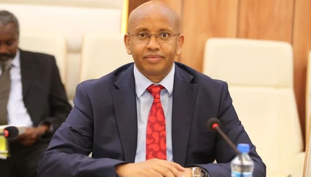 Somalia shifts the blame to Kenya as an inner opposition
