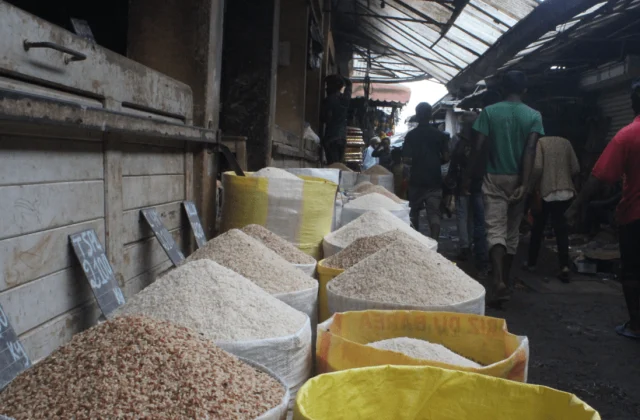 The Malagasy government is limiting the price of imported rice after weeks of increases