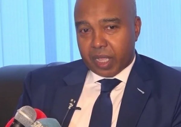 “We have been confused into discussion with Kenya,” Somalia FM stated