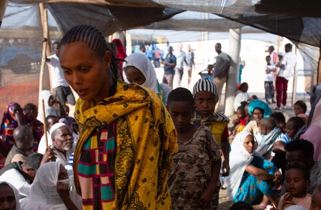 report actions committed in Tigray