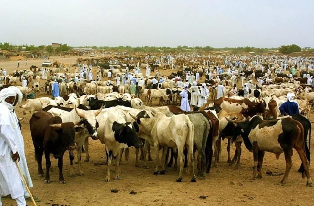 the situation is escalating between breeders and farmers