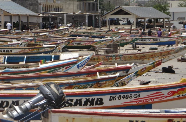 two years’ imprisonment for three fathers who had helped their children emigrate