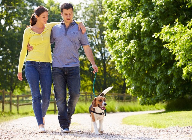 couple walking dog