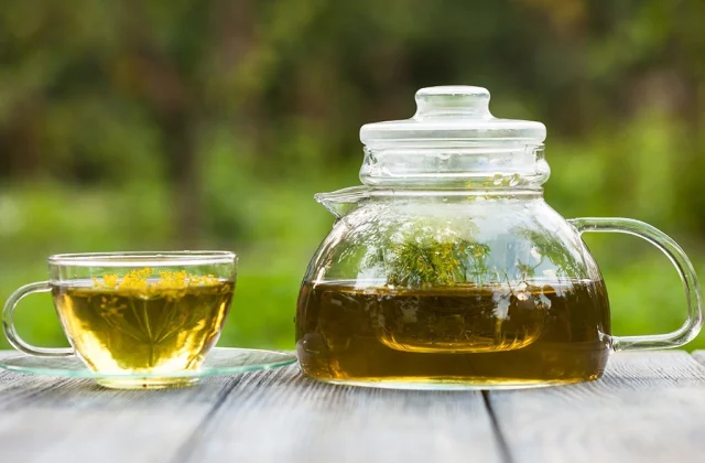 4 Finest Calming Teas for Anxiousness, In line with