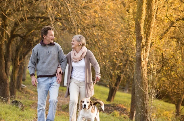 A large facet impact of strolling extra relaxed