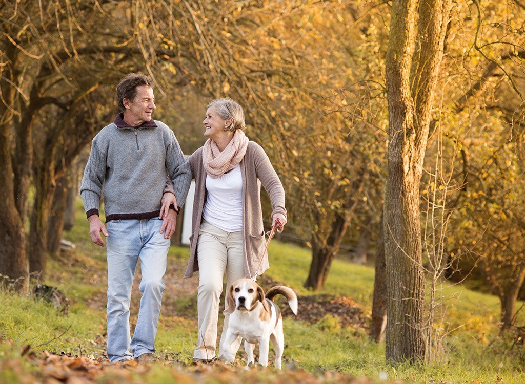 A large facet impact of strolling extra relaxed