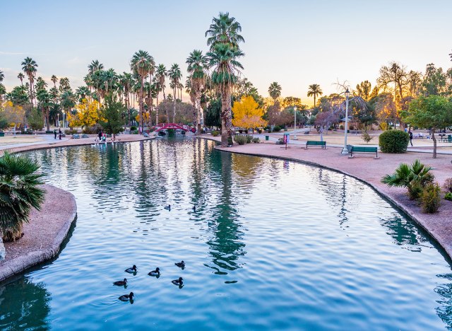 trees and water at encanto park phoenix arizona