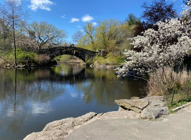 hallett nature sanctuary in central park new york city