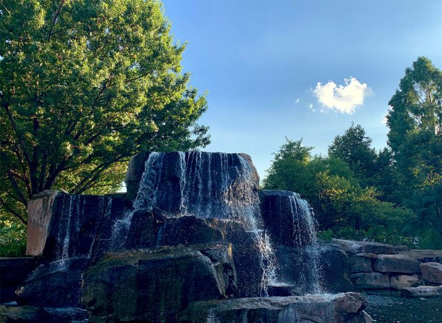 waterfall at myriad botanical gardens oklahoma