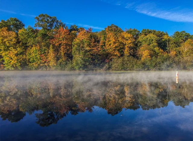 trees and water at mirror lake state park wisconsin