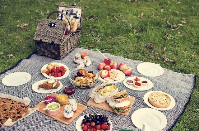 The Best Picnic Spot in Every State