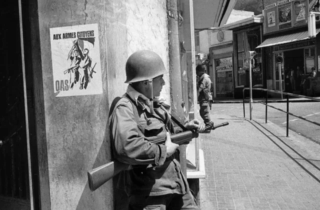 Algerian historians call for get entry to to