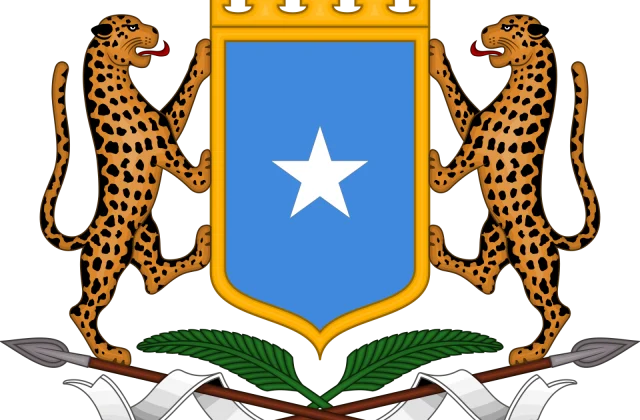DF oo beenisay warqad ku saabsan shirkadda Shiinaha