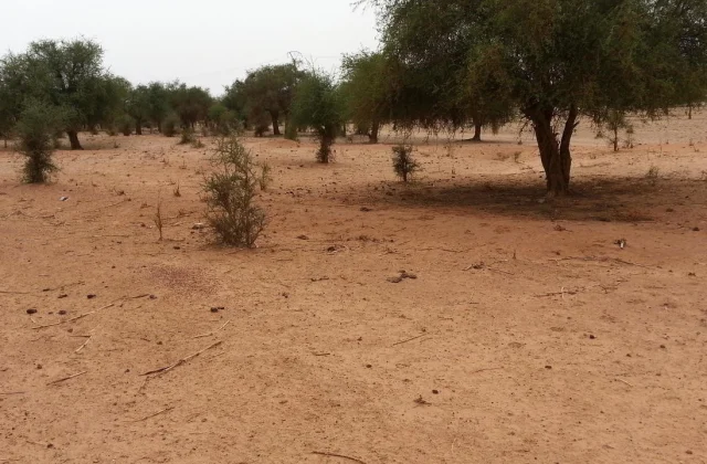 a ministerial mission goes to