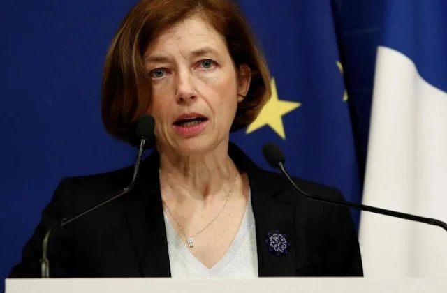 Florence Parly in Bamako after the UN document