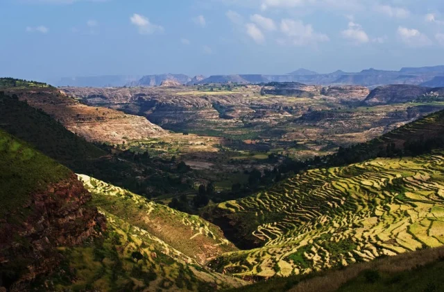 In Ethiopia rape as a weapon of conflict in