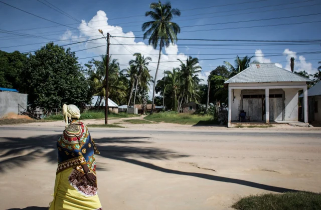 Militant team seizes northern Mozambique metropolis,