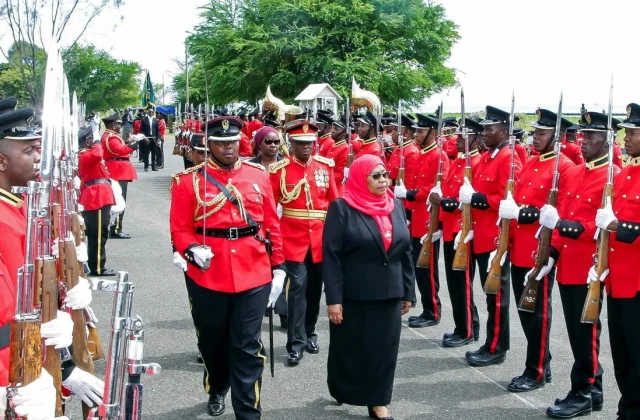 Samia Suluhu Hassan first feminine president of