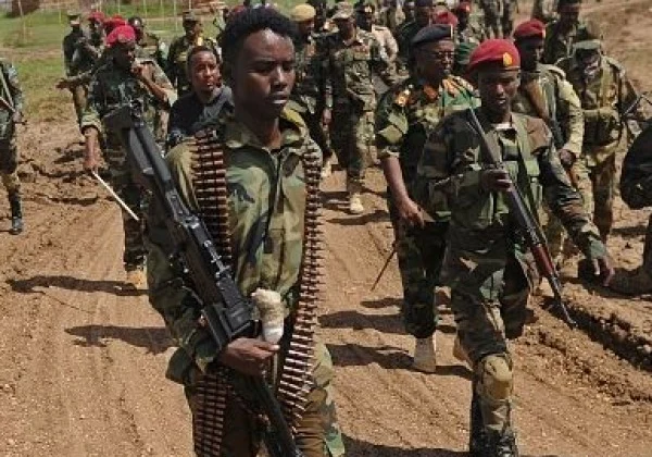Somali military kills over 10 Al-Shabab militants in southern area