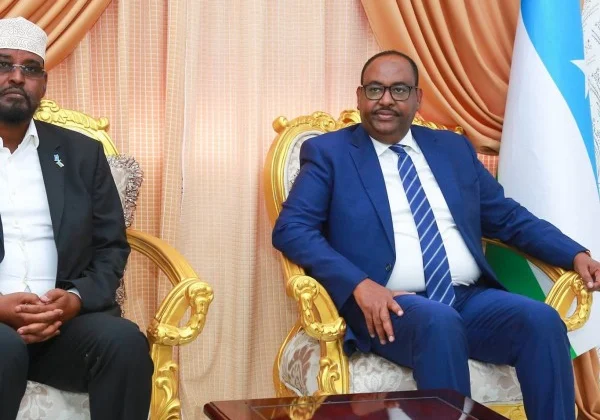 Somali executive accused of pulling legs in essential election negotiations