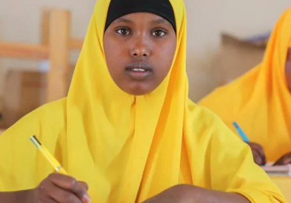 Somalia launches on-line studying program in the midst of COVID-19
