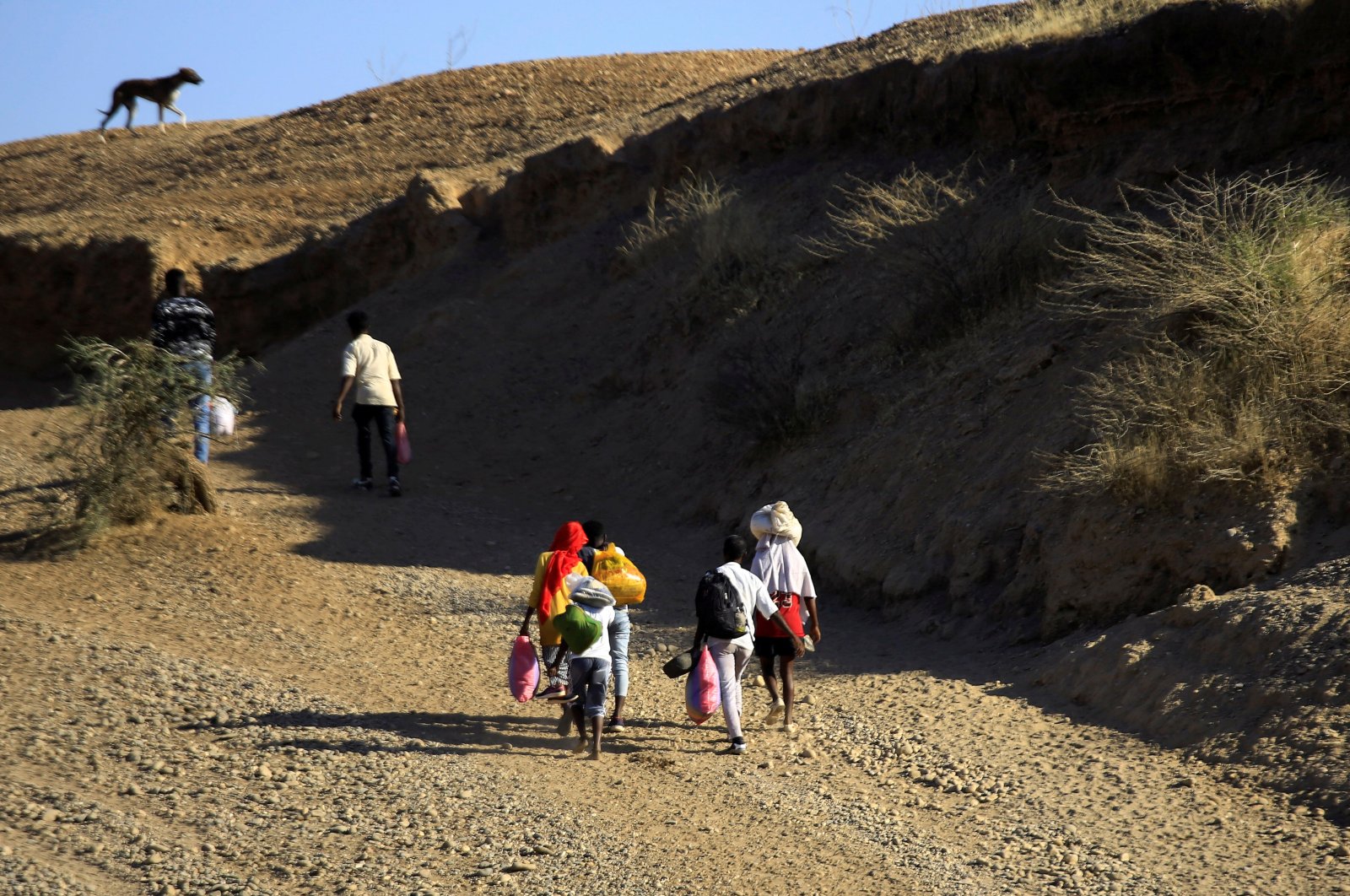 The UN approves Ethiopia’s request for a standard Tigray