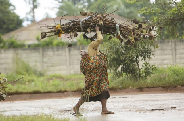 Truck driving force, mechanic, Zimbabwe’s females’s battle