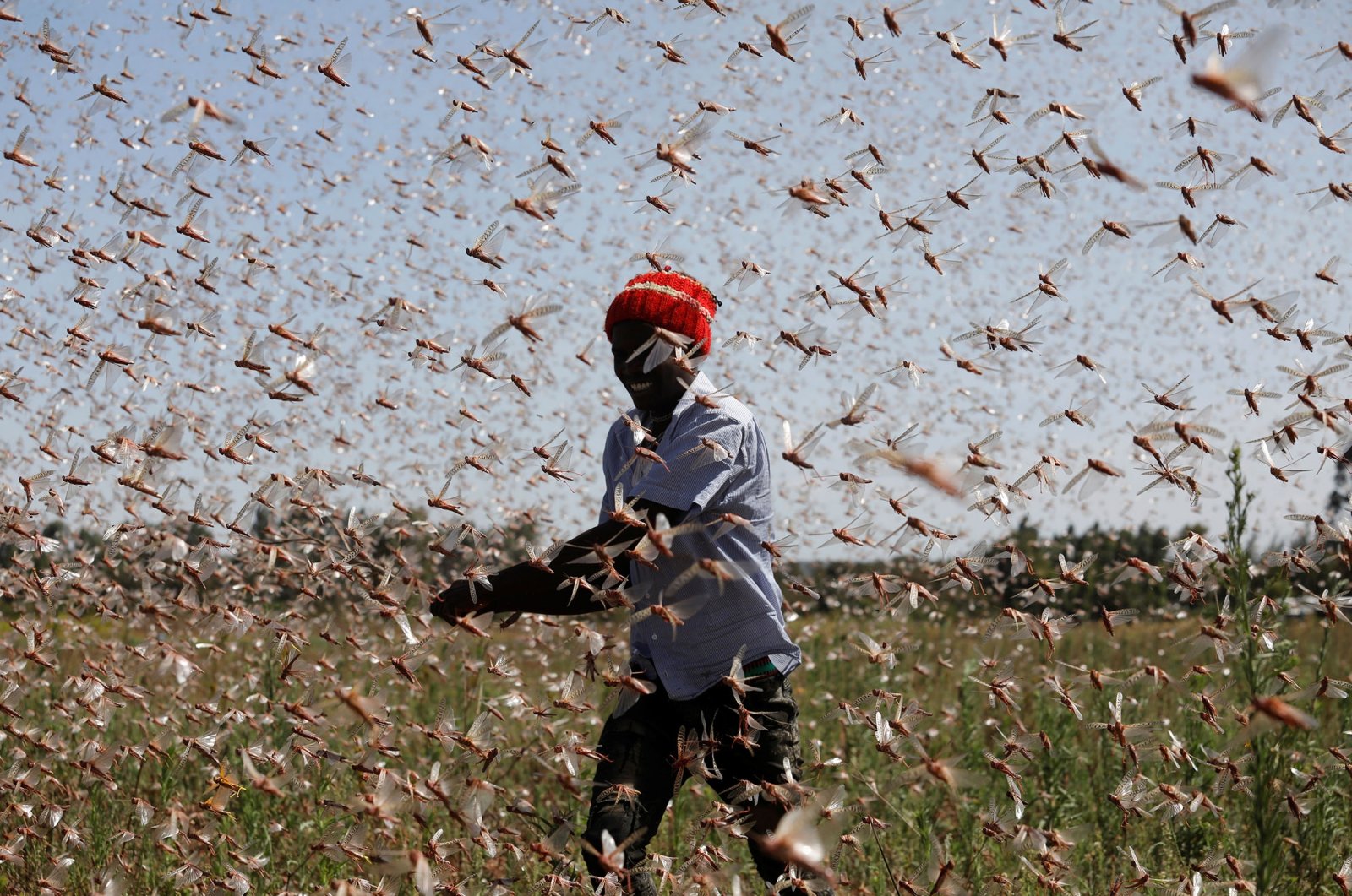 What is bothering you?  Farmers make animal feed from