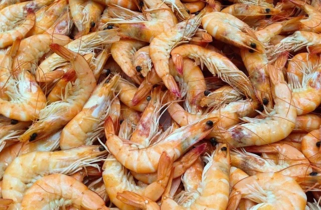 concern in the fisheries sector