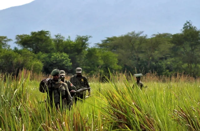 officers from Virunga Park focused by one