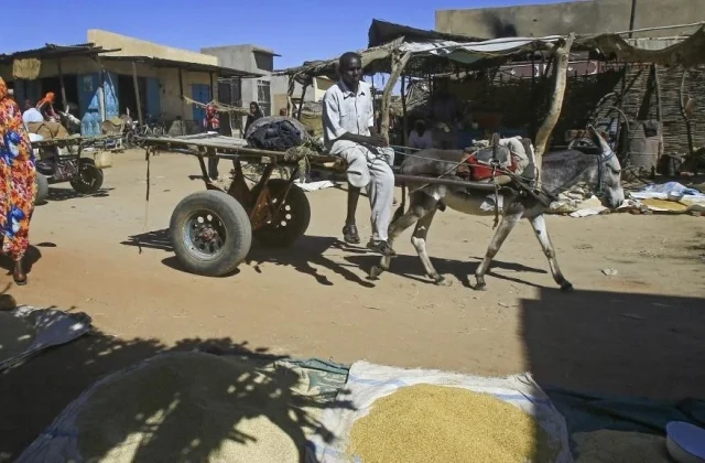 safety and humanitarian scenario in Darfur