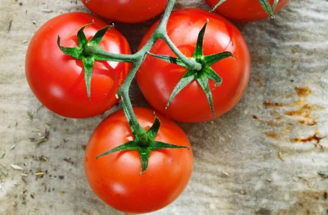 30 Supreme Immune-Boosting Meals