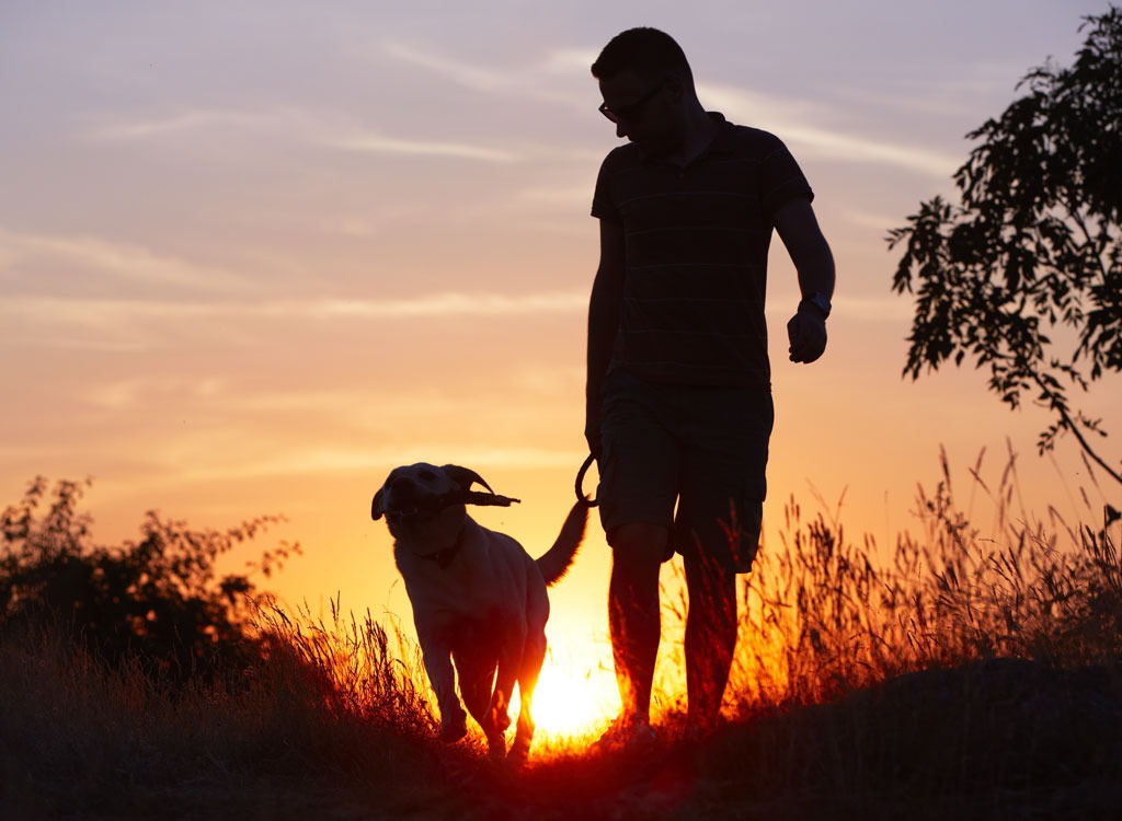 man walking dog