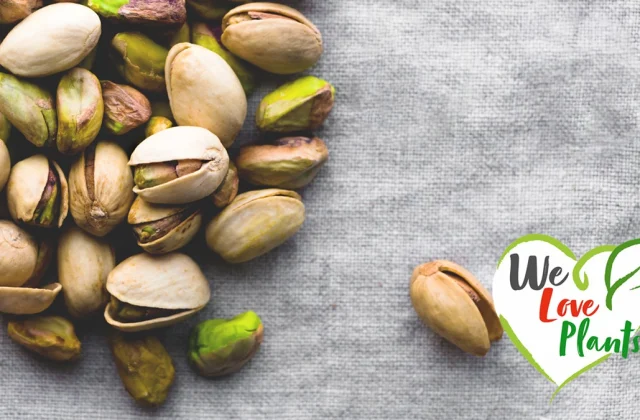 11 Finest Wholesome Plant-Primarily based Snack Concepts