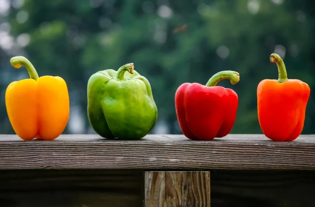 What Occurs to Your Physique When You Eat Bell Peppers