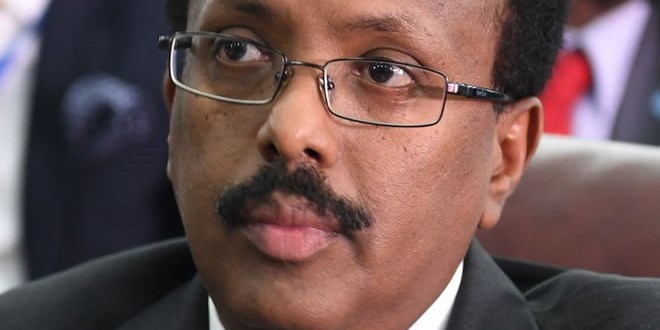 A Fault Line Named Farmajo