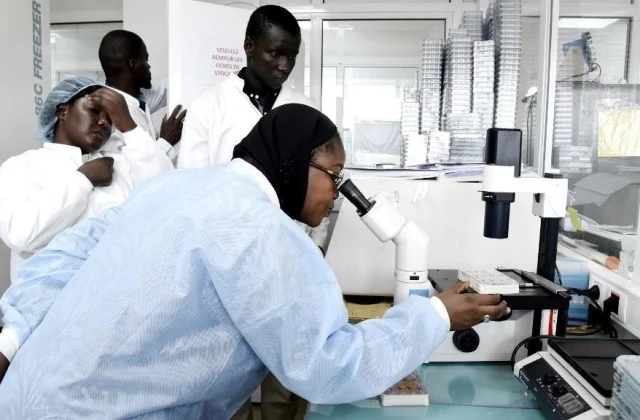 African researchers absent from the important