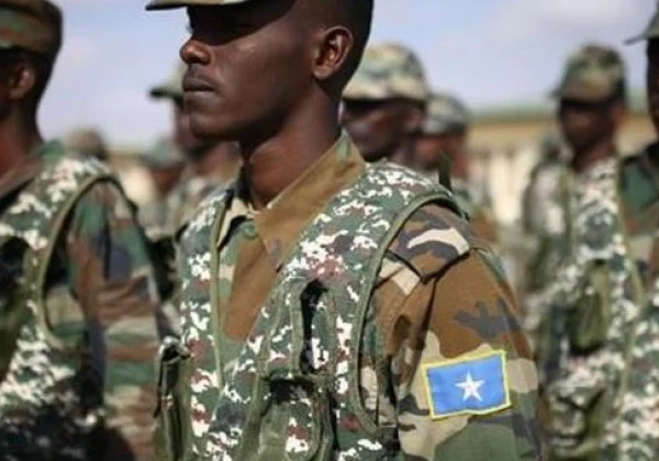 At least 25 militants were killed in anti-Al-Shabaab operation in Somalia