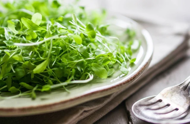 Drinking This For 10 Weeks May Reduce Body Fat, New Study