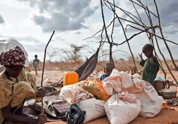 EDITORIAL: Farmajoo’s irony in silence about refugees in Kenya