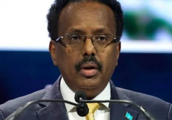 EDITORIAL: Farmajoo’s ‘no prerequisite’ phrases, a false start